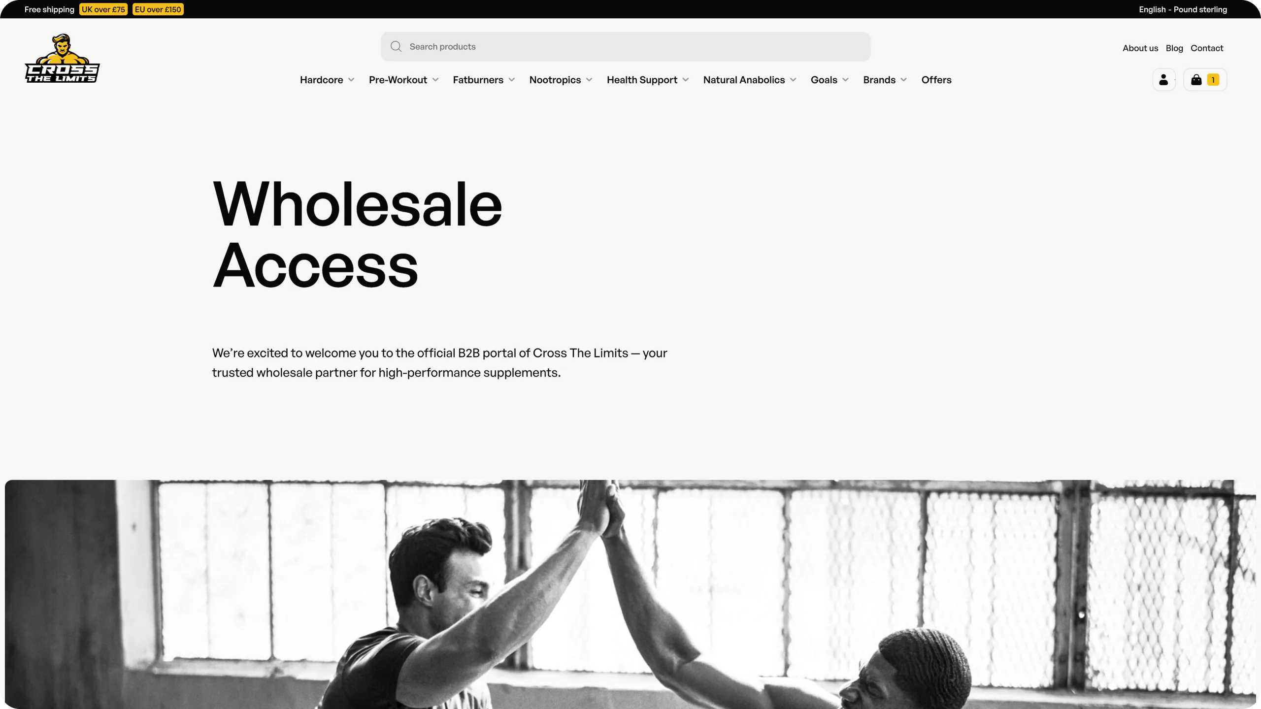 A dynamic e-commerce platform for a UK supplements distributor — website view 3